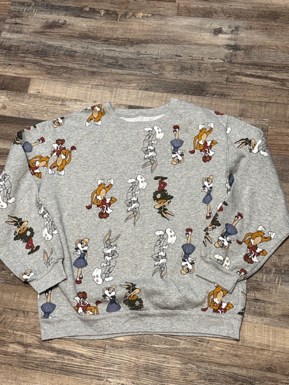 Warner Brothers 100 Looney Tunes X Wizard of Oz Characters Sweatshirt XL